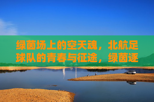 绿茵场上的空天魂，北航足球队的青春与征途，绿茵逐梦空天魂，北航青春正征途