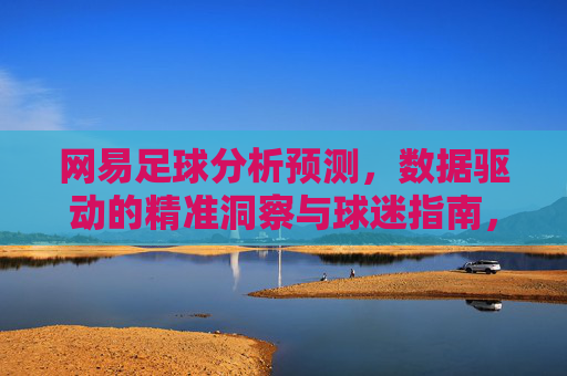 网易足球分析预测，数据驱动的精准洞察与球迷指南，网易足球，数据驱动的精准预测与球迷指南