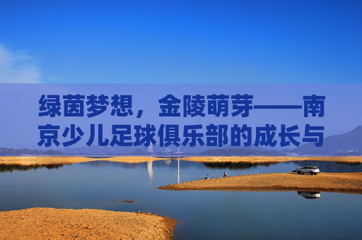 绿茵梦想,金陵萌芽——南京少儿足球俱乐部的成长与希望,绿茵梦想金陵萌芽,南京少儿足球成长与希望