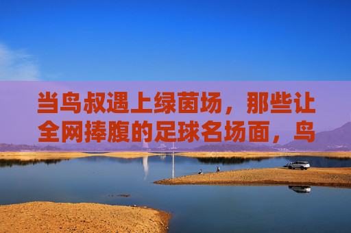 当鸟叔遇上绿茵场,那些让全网捧腹的足球名场面,鸟叔遇上绿茵场,全网捧腹的足球名场面