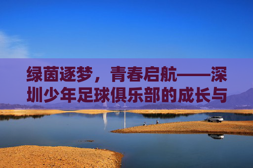 绿茵逐梦,青春启航——深圳少年足球俱乐部的成长与希望,深圳少年足球俱乐部,逐梦启航,成长希望