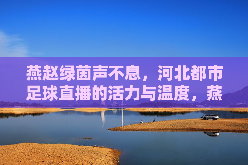 燕赵绿茵声不息,河北都市足球直播的活力与温度,燕赵绿茵直播,都市足球的活力与温度