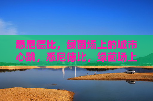 悉尼德比，绿茵场上的城市心跳，悉尼德比，绿茵场上的城市心跳