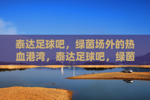 泰达足球吧，绿茵场外的热血港湾，泰达足球吧，绿茵场外的热血港湾