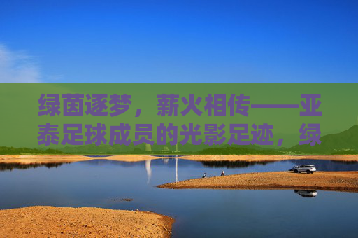 绿茵逐梦，薪火相传——亚泰足球成员的光影足迹，绿茵逐梦薪火传，亚泰足球成员足迹