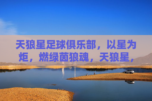 天狼星足球俱乐部,以星为炬,燃绿茵狼魂,天狼星,星炬燃绿茵狼魂