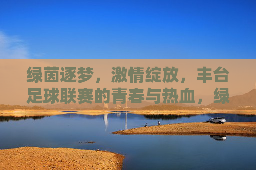 绿茵逐梦，激情绽放，丰台足球联赛的青春与热血，绿茵逐梦，青春热血——丰台足球联赛