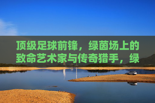 顶级足球前锋,绿茵场上的致命艺术家与传奇猎手,绿茵致命艺术家,顶级前锋的传奇猎手