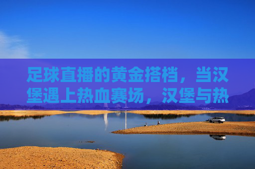 足球直播的黄金搭档，当汉堡遇上热血赛场，汉堡与热血赛场，足球直播的黄金搭档