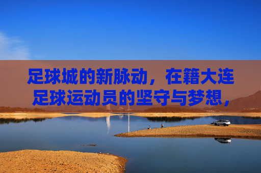 足球城的新脉动,在籍大连足球运动员的坚守与梦想,足球城新脉动,在籍大连足球运动员的坚守与梦想