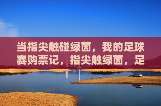 当指尖触碰绿茵,我的足球赛购票记,指尖触绿茵,足球购票记