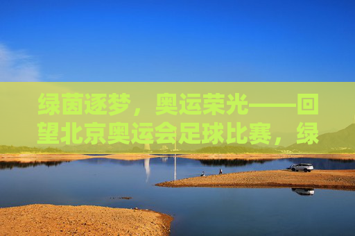 绿茵逐梦，奥运荣光——回望北京奥运会足球比赛，绿茵逐梦，奥运荣光——回望北京奥运会足球比赛