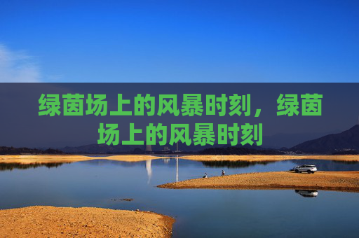 绿茵场上的风暴时刻，绿茵场上的风暴时刻