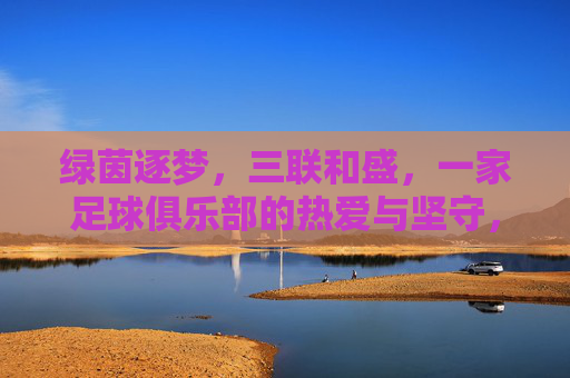 绿茵逐梦，三联和盛，一家足球俱乐部的热爱与坚守，三联和盛，绿茵逐梦的热爱与坚守