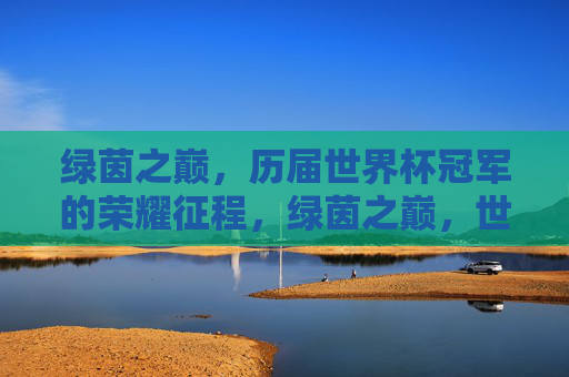 绿茵之巅，历届世界杯冠军的荣耀征程，绿茵之巅，世界杯冠军荣耀征程