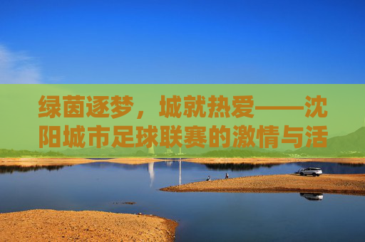 绿茵逐梦，城就热爱——沈阳城市足球联赛的激情与活力，绿茵逐梦，城就热爱——沈阳城市足球联赛