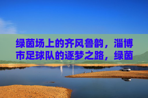 绿茵场上的齐风鲁韵,淄博市足球队的逐梦之路,绿茵逐梦齐风鲁韵,淄博市足球队的征途