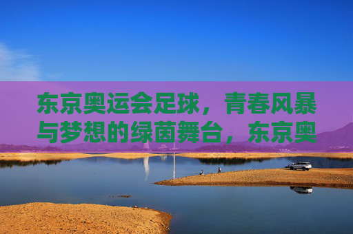 东京奥运会足球，青春风暴与梦想的绿茵舞台，东京奥运会足球，青春风暴与梦想的绿茵舞台