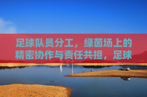 足球队员分工，绿茵场上的精密协作与责任共担，足球队员分工，绿茵场上的精密协作与责任共担