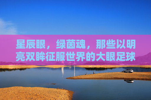 星辰眼,绿茵魂,那些以明亮双眸征服世界的大眼足球明星,星辰眼耀绿茵,大眼球星征服世界