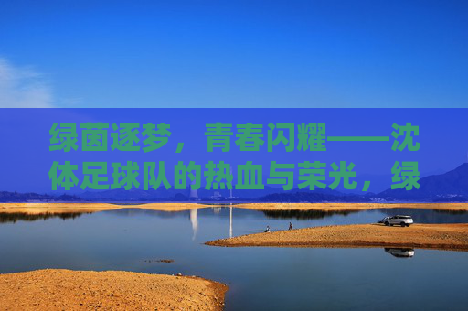 绿茵逐梦，青春闪耀——沈体足球队的热血与荣光，绿茵逐梦，青春闪耀——沈体足球队的热血荣光