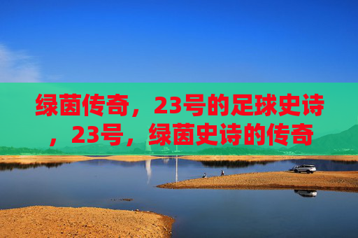 绿茵传奇，23号的足球史诗，23号，绿茵史诗的传奇