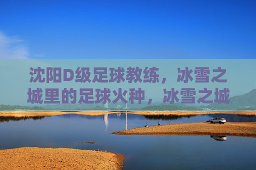 沈阳D级足球教练,冰雪之城里的足球火种,冰雪之城,D级教练的足球火种