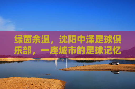 绿茵余温,沈阳中泽足球俱乐部,一座城市的足球记忆,沈阳中泽,绿茵余温里的城市足球记忆