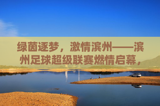 绿茵逐梦，激情滨州——滨州足球超级联赛燃情启幕，绿茵逐梦，激情滨州——滨州足球超级联赛燃情启幕
