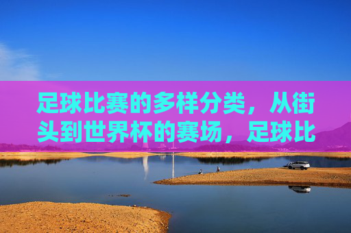 足球比赛的多样分类，从街头到世界杯的赛场，足球比赛全景图，从街头绿茵到世界杯殿堂