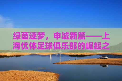 绿茵逐梦，申城新篇——上海优体足球俱乐部的崛起之路，上海优体足球俱乐部，绿茵逐梦，申城崛起