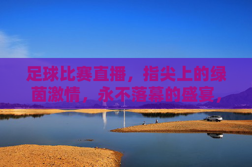 足球比赛直播，指尖上的绿茵激情，永不落幕的盛宴，指尖绿茵激情，永不落幕的盛宴