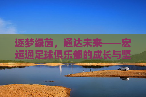 逐梦绿茵，通达未来——宏运通足球俱乐部的成长与坚守，宏运通足球俱乐部，逐梦绿茵的成长与坚守