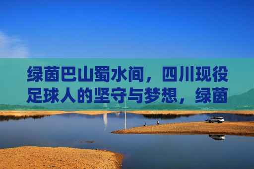 绿茵巴山蜀水间,四川现役足球人的坚守与梦想,绿茵巴蜀,现役足球人的坚守与梦想