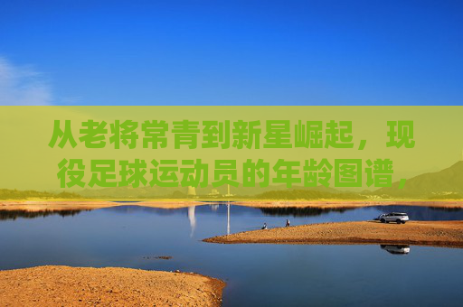 从老将常青到新星崛起，现役足球运动员的年龄图谱，老将常青到新星崛起，现役足球运动员年龄图谱