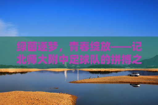 绿茵逐梦,青春绽放——记北师大附中足球队的拼搏之路