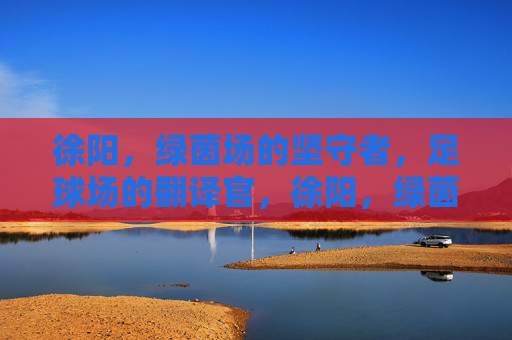 徐阳,绿茵场的坚守者,足球场的翻译官,徐阳,绿茵场的坚守者与翻译官