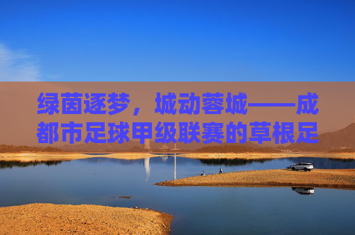 绿茵逐梦,城动蓉城——成都市足球甲级联赛的草根足球热,蓉城草根足球热,绿茵逐梦,城动全城