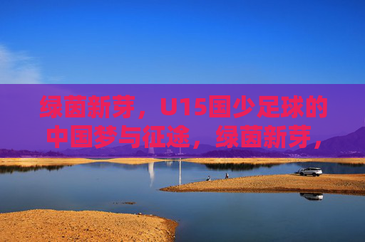 绿茵新芽，U15国少足球的中国梦与征途，绿茵新芽，U15国少足球的中国梦与征途