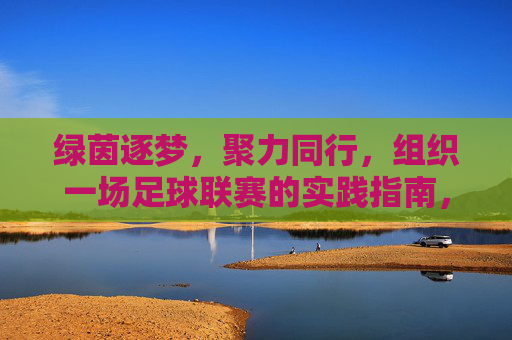 绿茵逐梦,聚力同行,组织一场足球联赛的实践指南,绿茵逐梦,聚力同行,足球联赛实践指南