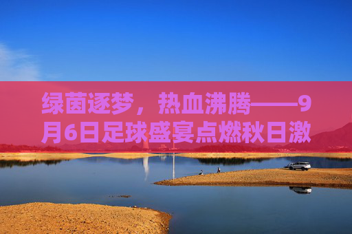 绿茵逐梦，热血沸腾——9月6日足球盛宴点燃秋日激情，9月6日足球盛宴，绿茵逐梦点燃秋日激情