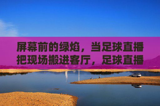 屏幕前的绿焰,当足球直播把现场搬进客厅,足球直播,客厅里的绿焰现场