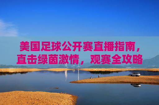 美国足球公开赛直播指南，直击绿茵激情，观赛全攻略，美国足球公开赛直播观赛全攻略，直击绿茵激情
