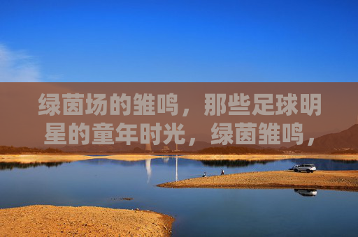 绿茵场的雏鸣,那些足球明星的童年时光,绿茵雏鸣,足球巨星的童年序章