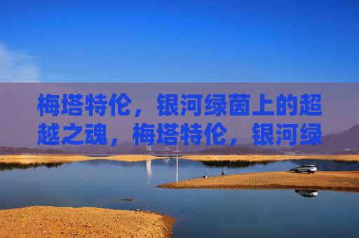 梅塔特伦,银河绿茵上的超越之魂,梅塔特伦,银河绿茵的超越之魂