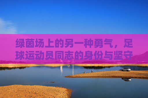 绿茵场上的另一种勇气,足球运动员同志的身份与坚守,绿茵场上的另一种勇气,足球运动员同志的身份坚守
