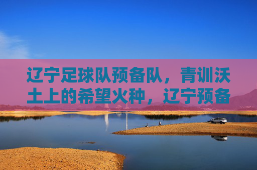 辽宁足球队预备队，青训沃土上的希望火种，辽宁预备队，青训沃土的希望火种