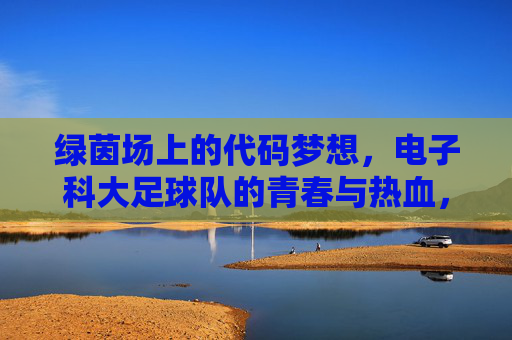 绿茵场上的代码梦想，电子科大足球队的青春与热血，代码与绿茵共燃的青春，电子科大足球队的热血梦想