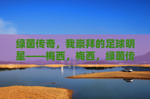 绿茵传奇，我崇拜的足球明星——梅西，梅西，绿茵传奇，我崇拜的足球明星