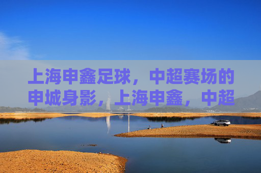 上海申鑫足球,中超赛场的申城身影,上海申鑫,中超赛场的申城身影